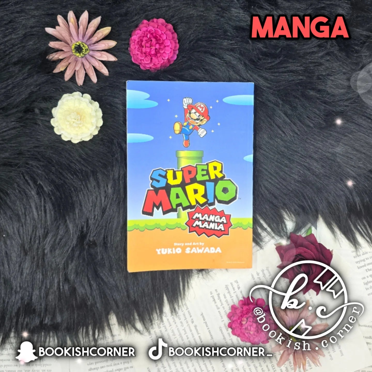 Super Mario Manga Mania By Yukio Sawada