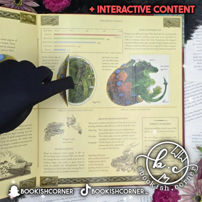 Dragonology By Dugald Steer