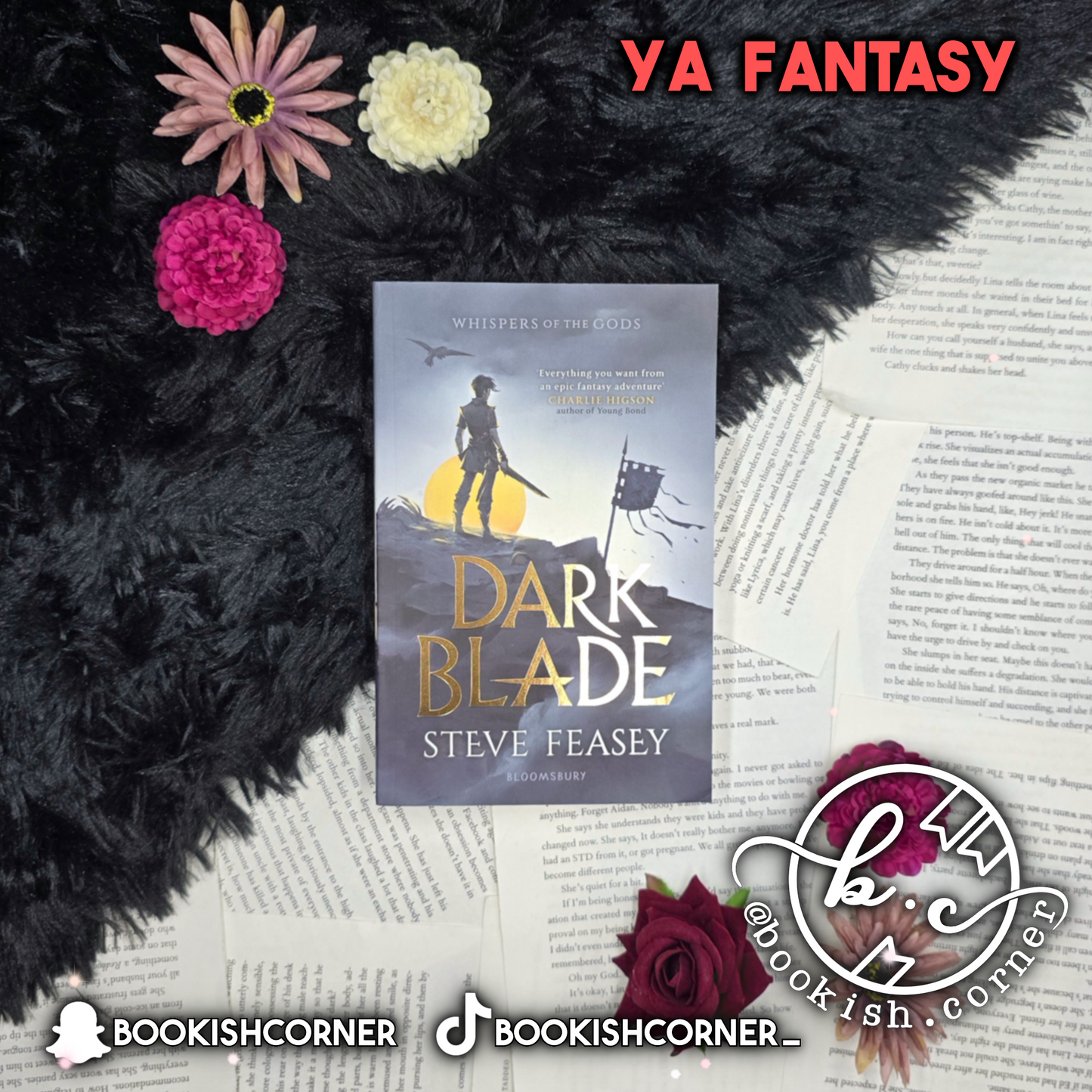 Dark Blade By Steve Feasey