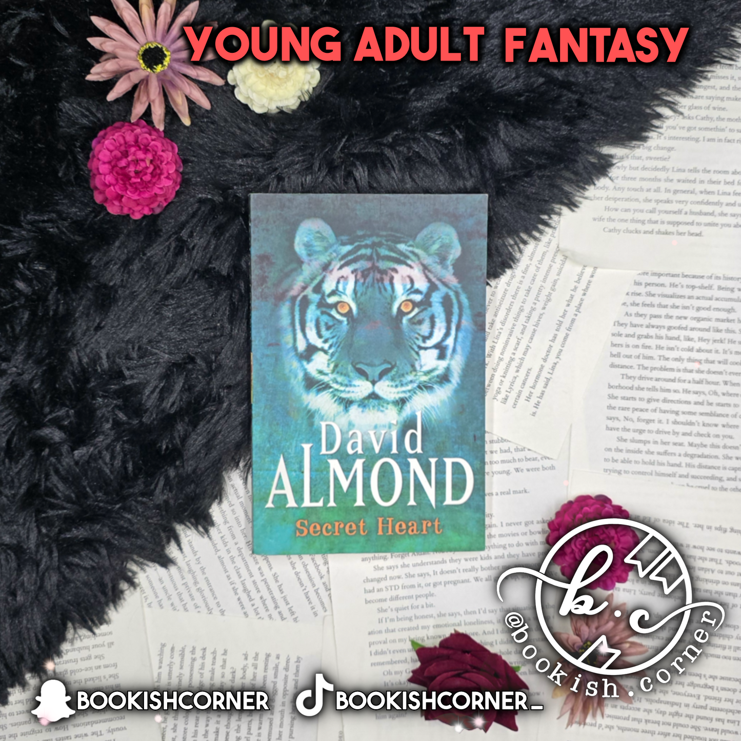 Secret Heart By David Almond