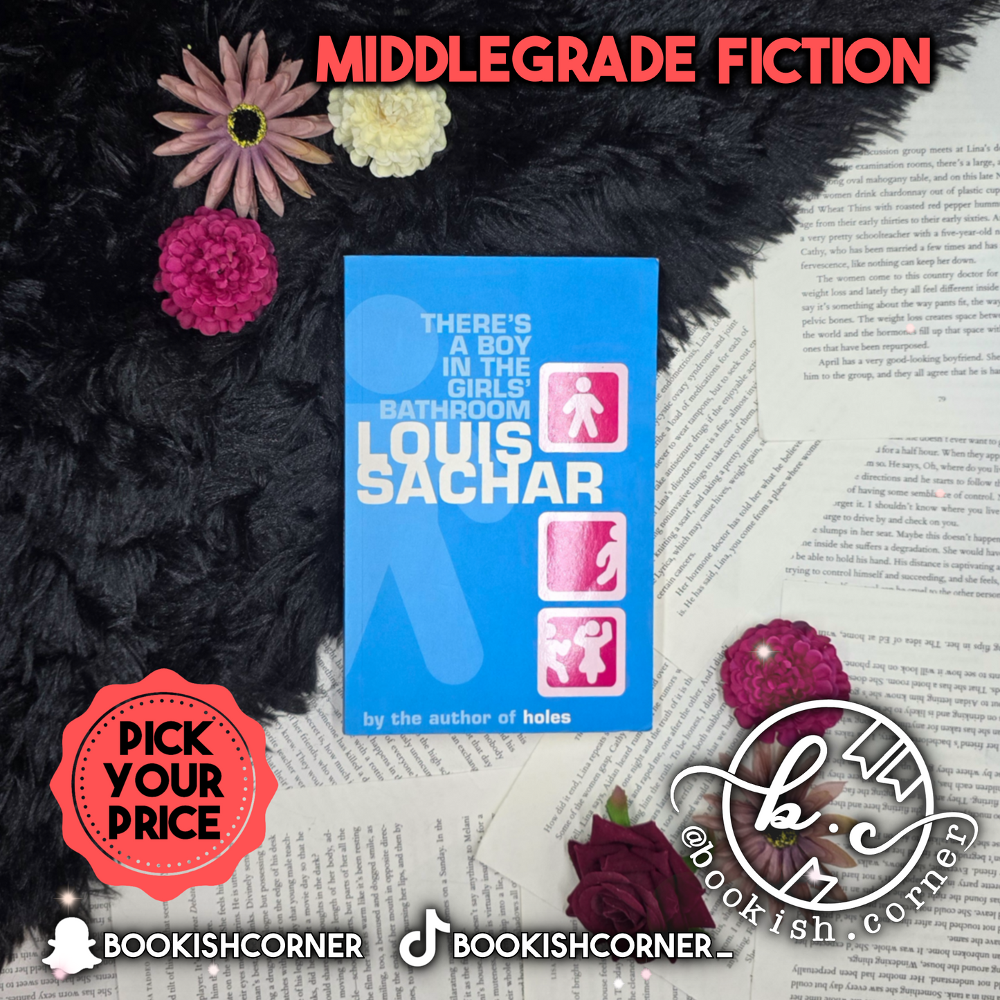 There's A Boy In The Girls Bathroom By Louis Sachar