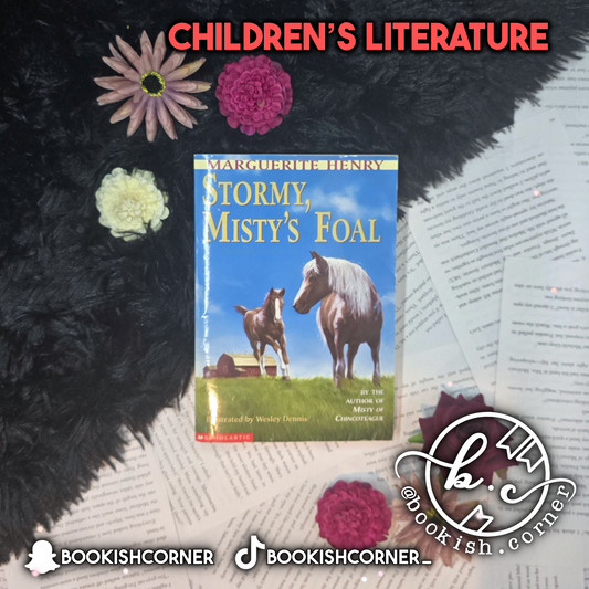 Stormy Misty's Foal