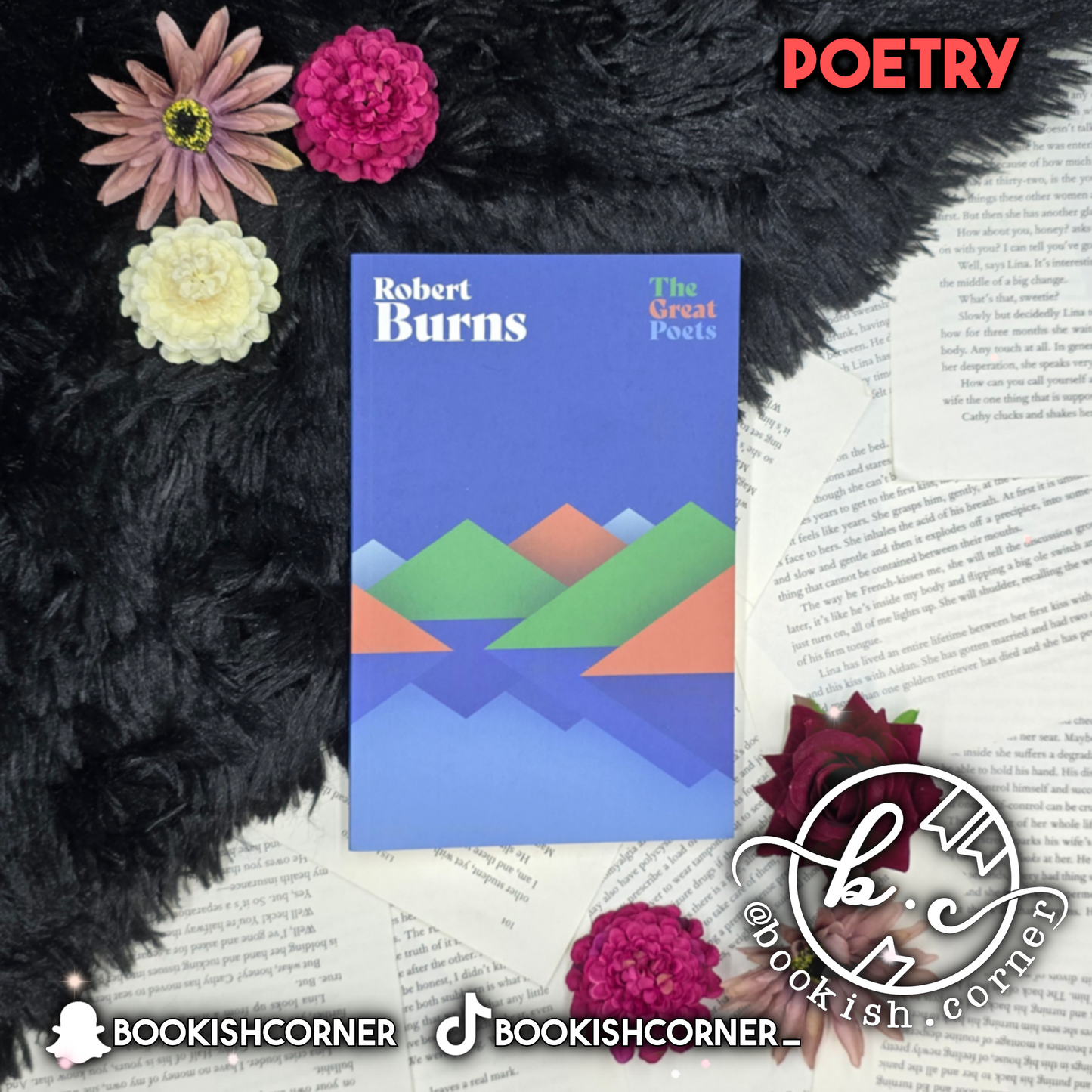 Robert Burns Selected Poems