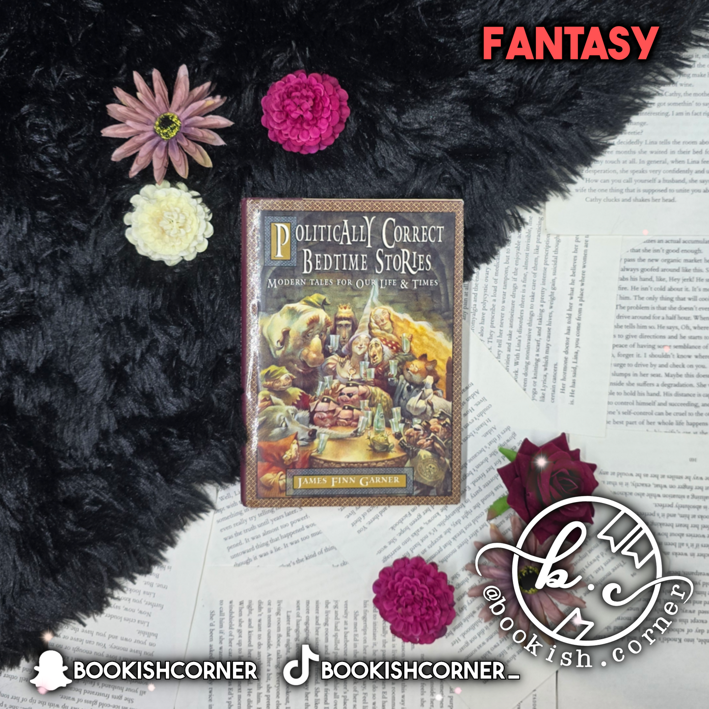 Politically Correct Bedtime Stories By James Finn Garner