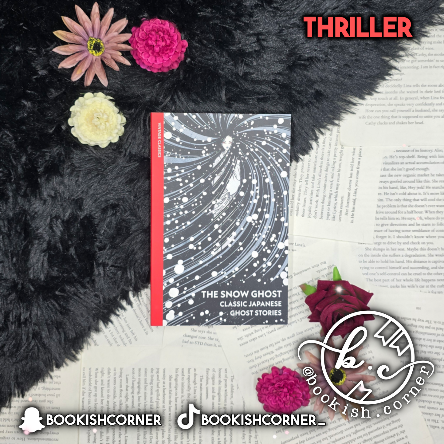 The Snow Ghost : Classic Japanese Ghost Stories