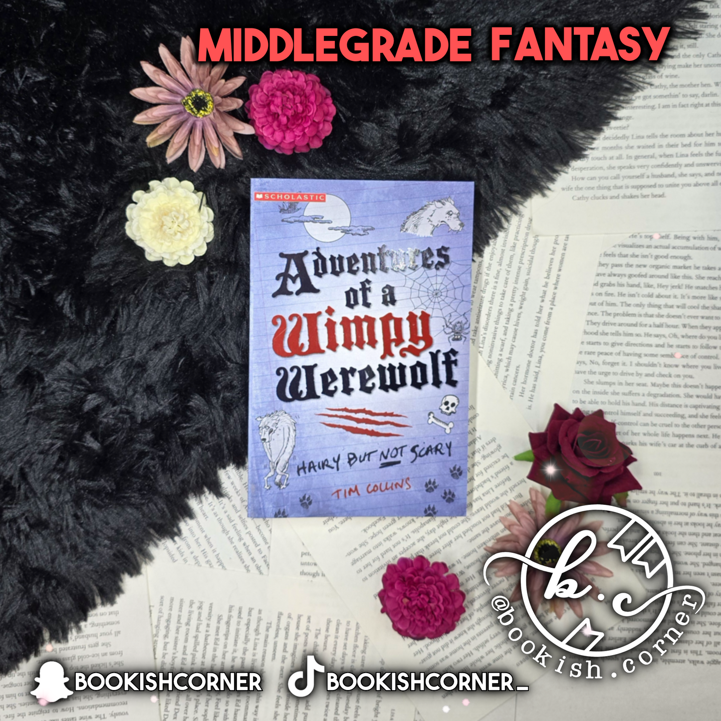 Diary Of A Wimpy Vampire (set) By Tim Collins