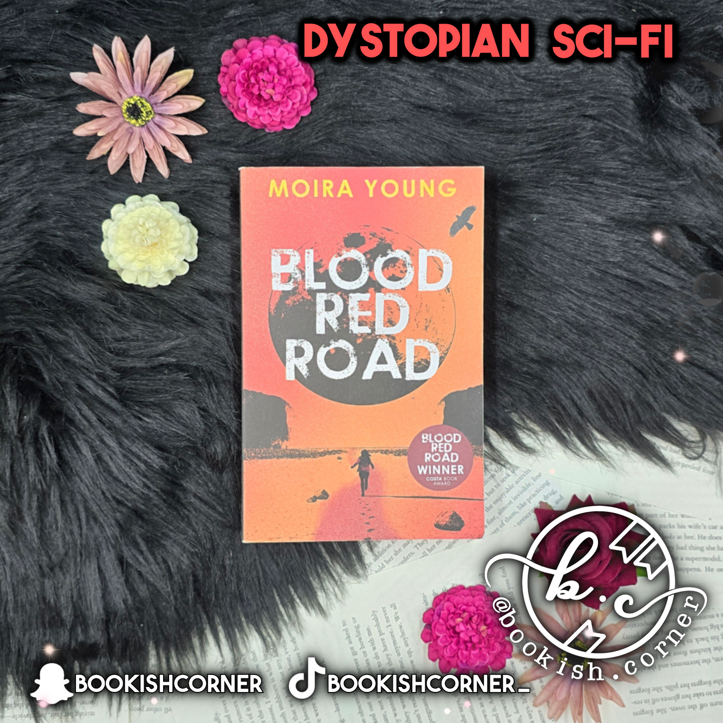 Blood Red Road By Moira Young