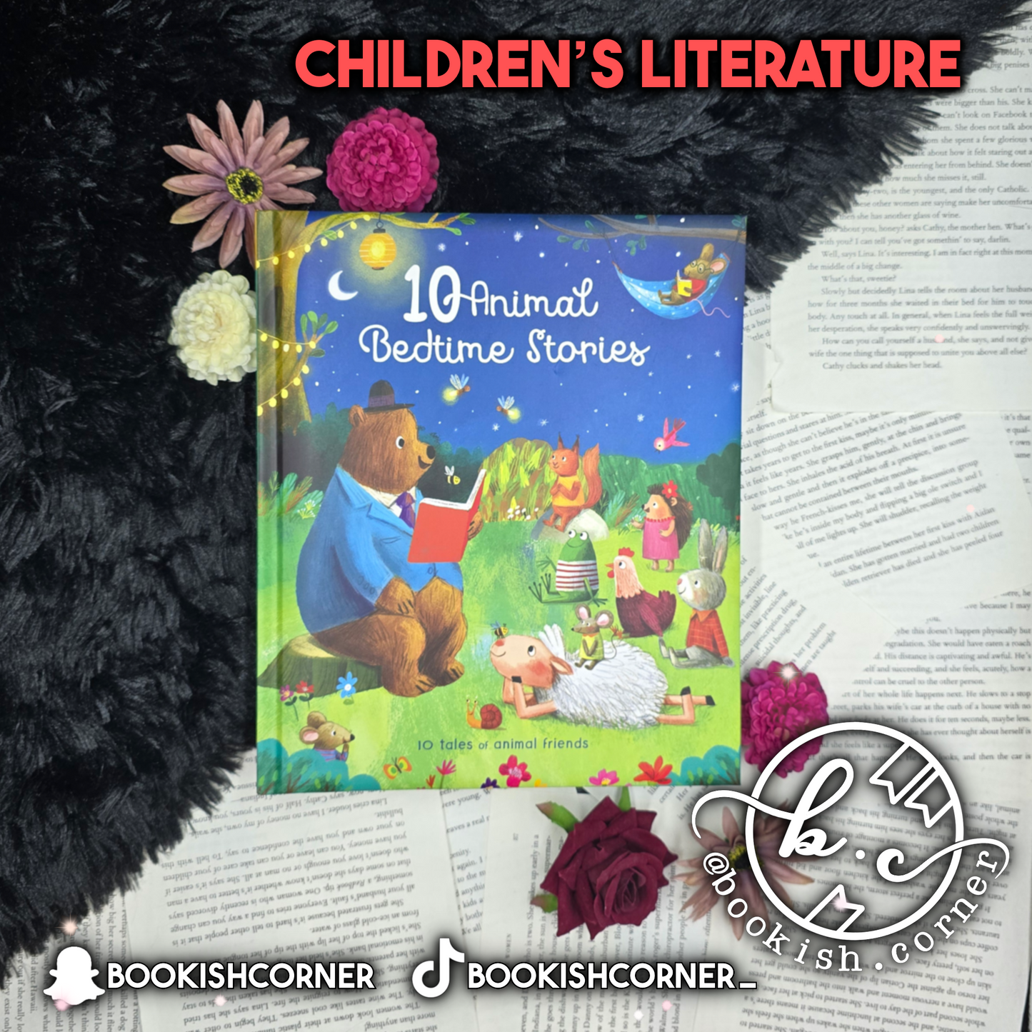 10 Animal Bedtime Stories