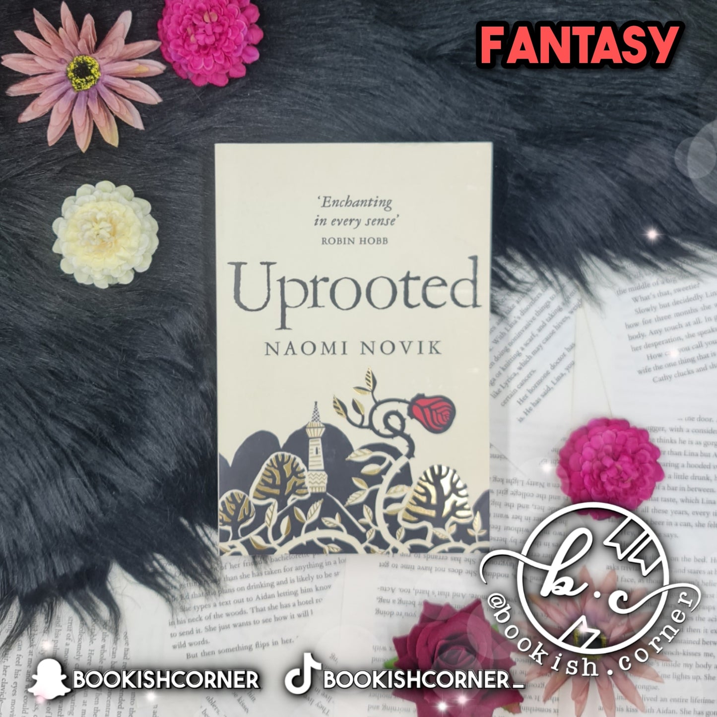 Uprooted By Naomi Novik