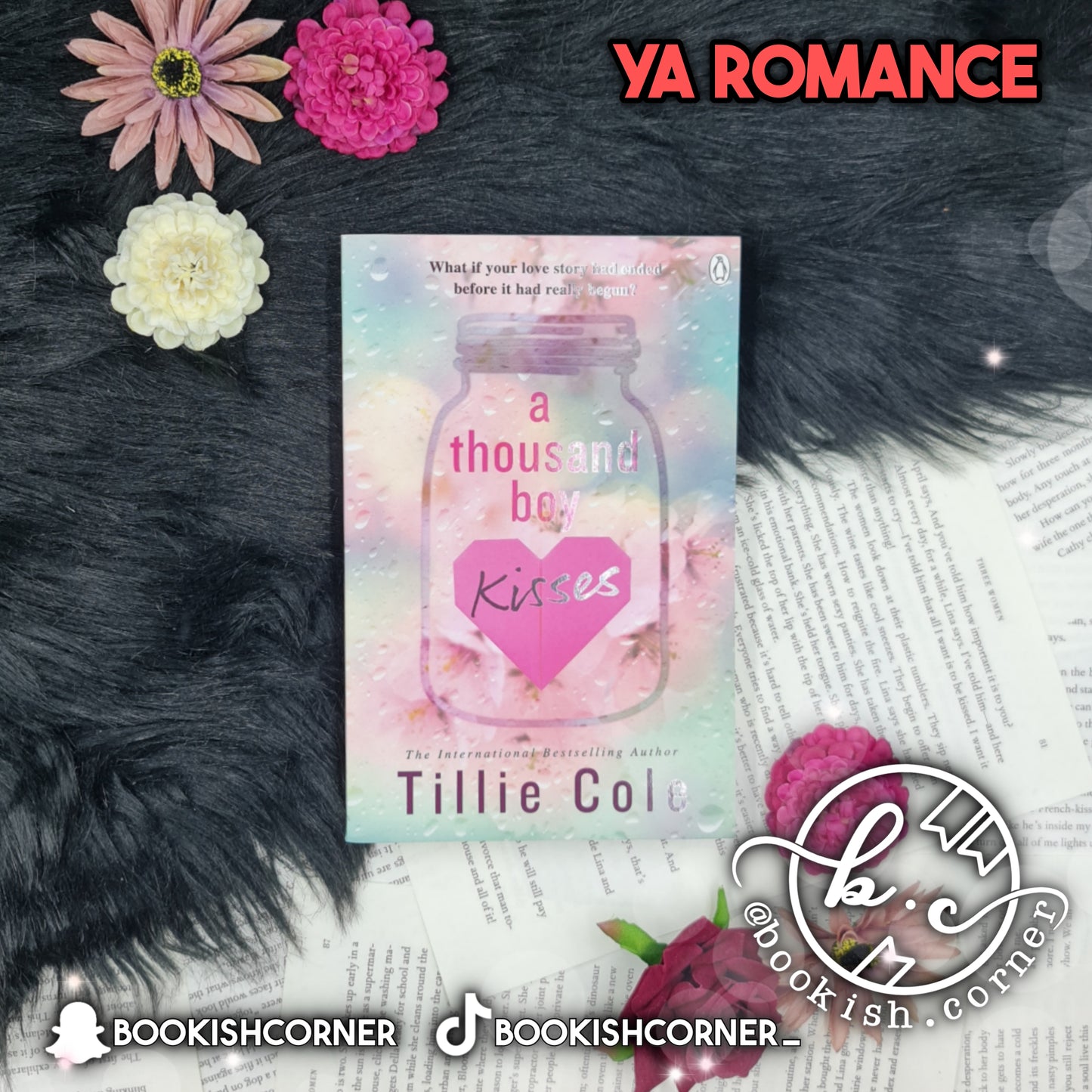 A Thousand Boy Kisses By Tillie Cole