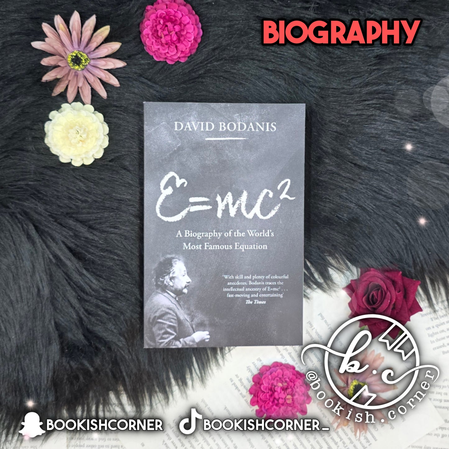 E=mc² By David Bodanis