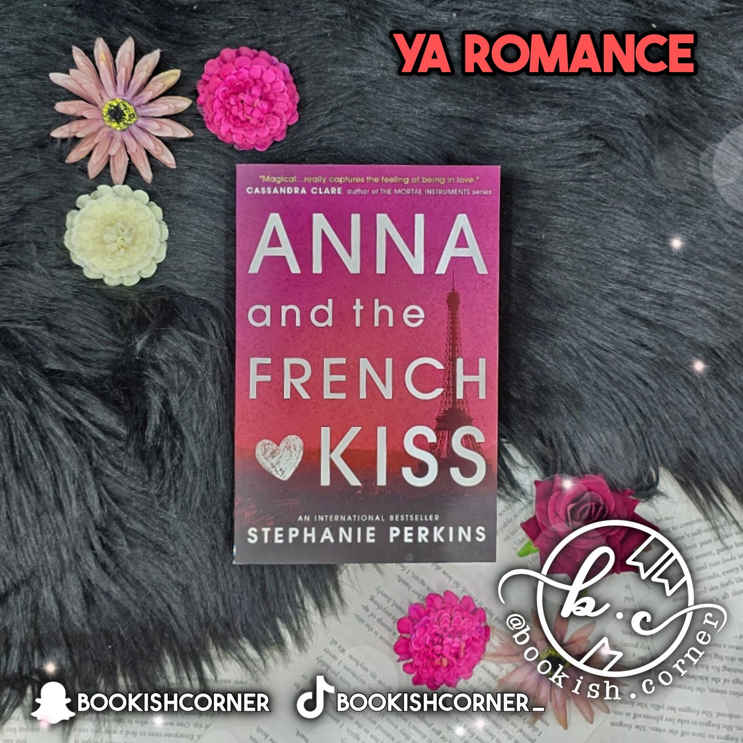 Anna And The French Kiss By Stephanie Perkins