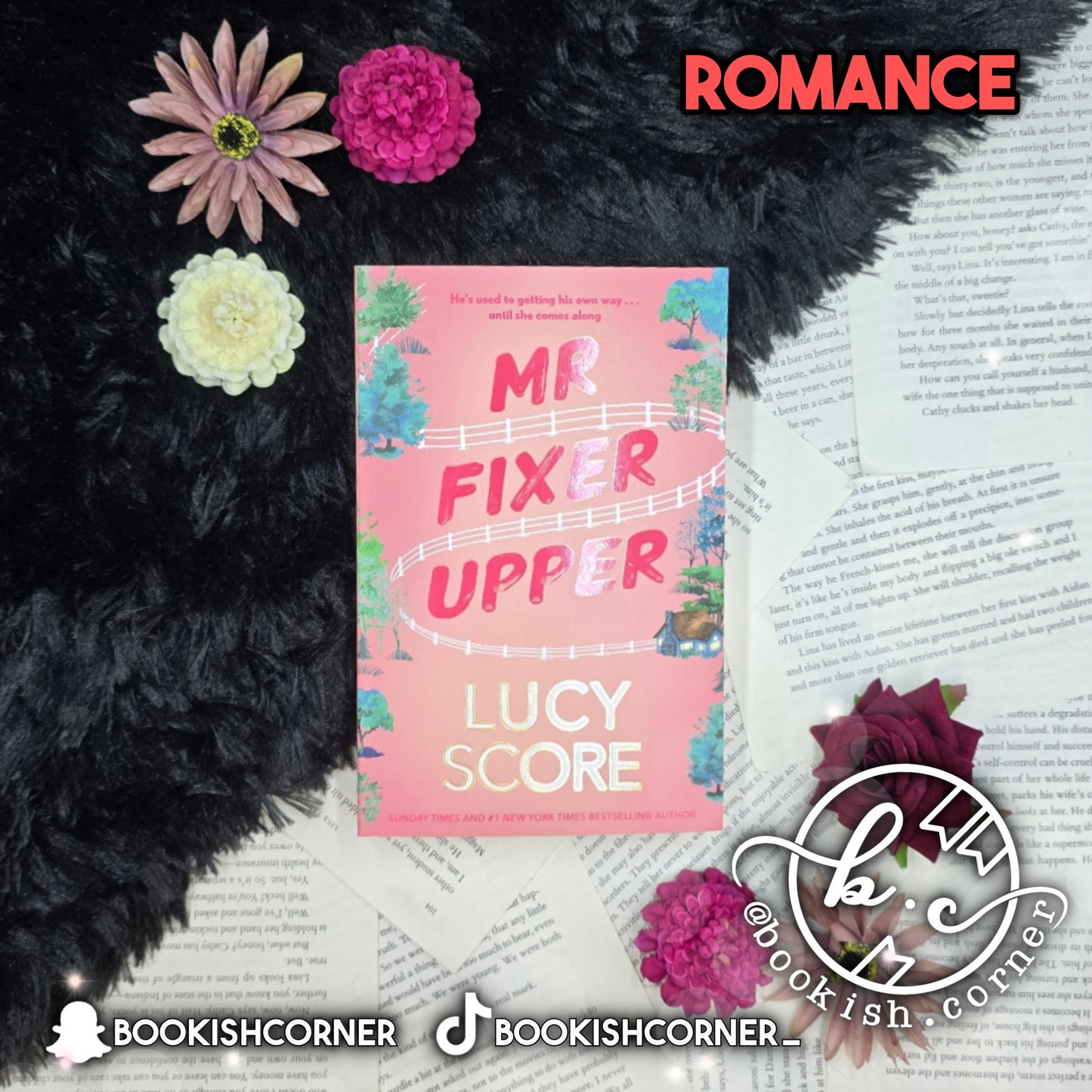 Mr Fixer Upper By Lucy Score