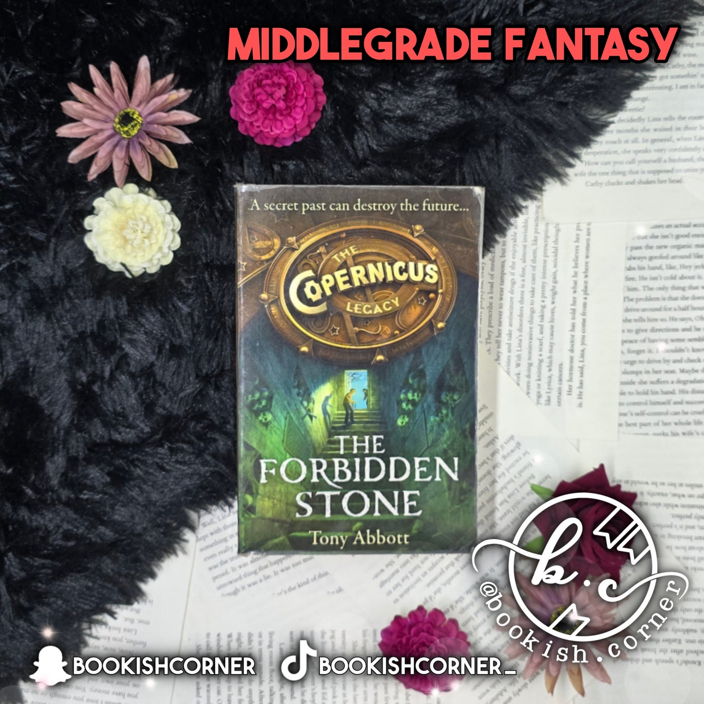 The Forbidden Stone By Tony Abbott