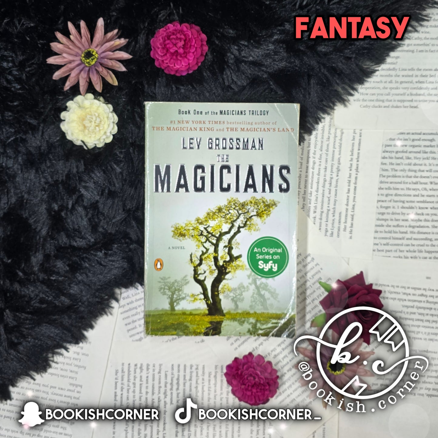 The Magicians By Lev Grossman