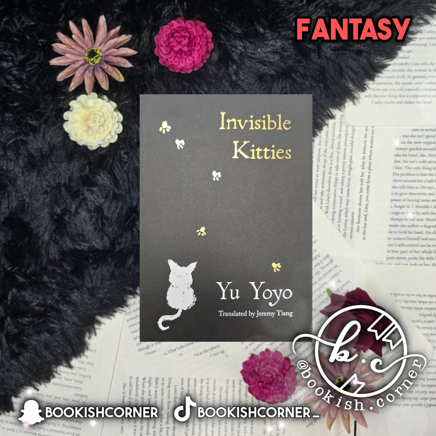 Invisible Kitties By Yu Yoyo