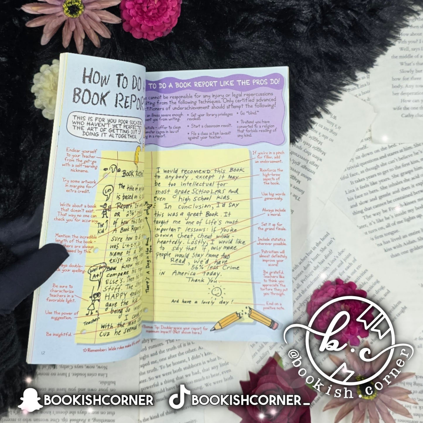 Bart Simpson's Guide To Life By Matt Groening