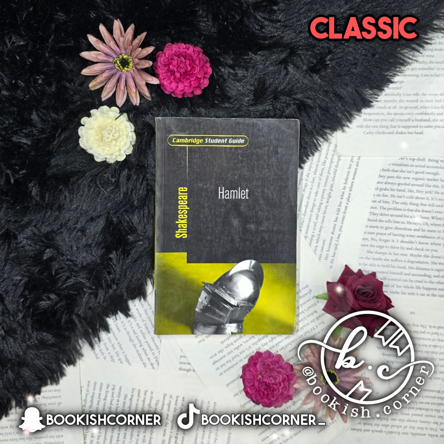 Hamlet - Cambridge Student Guide by William Shakespeare