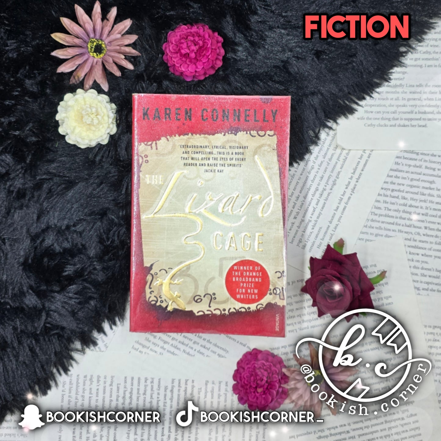 The Lizard Cage By Karen Connelly