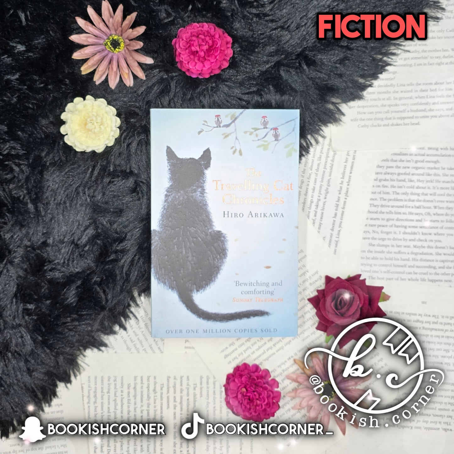 The Travelling Cat Chronicles By Hiro Arikawa