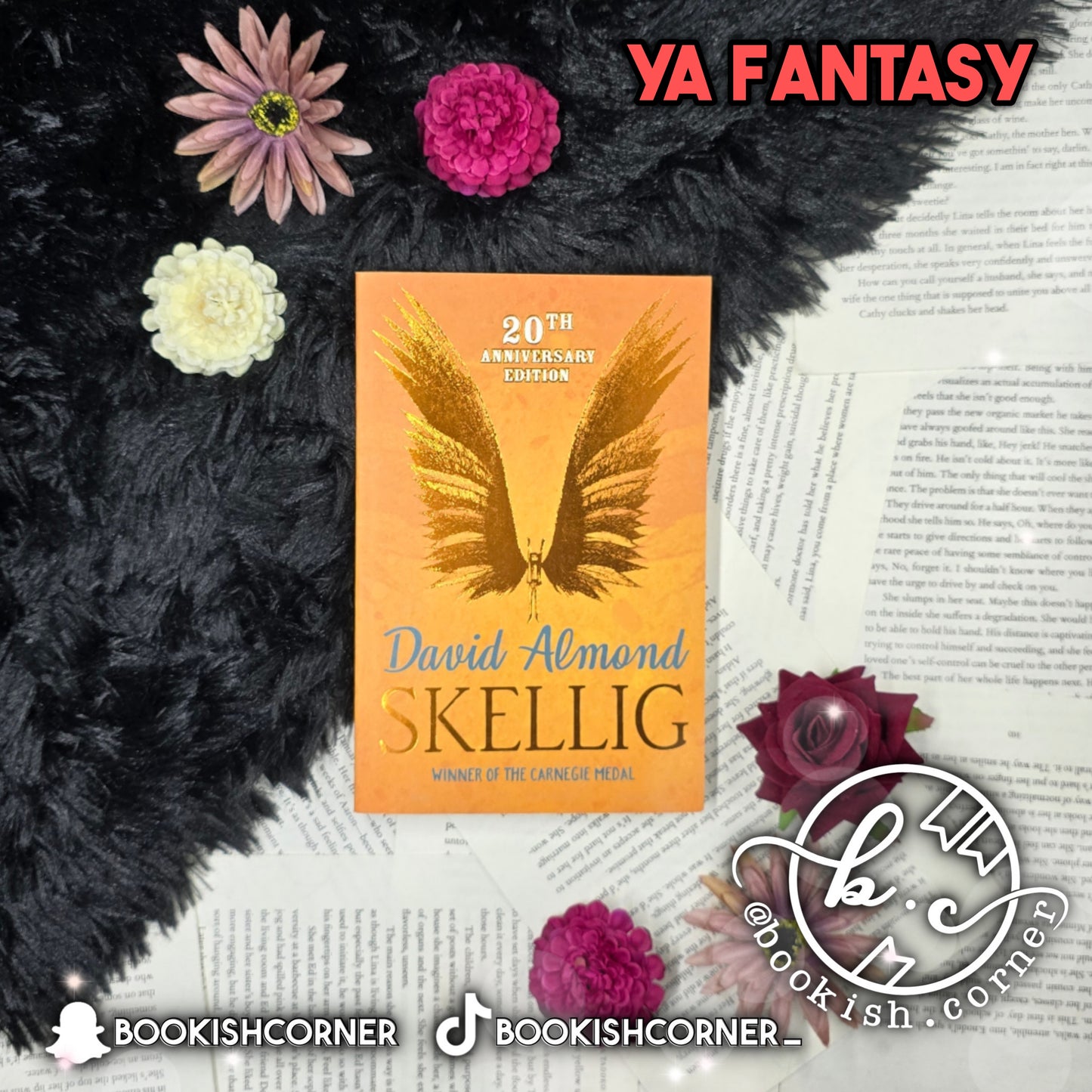 Skellig By David Almond
