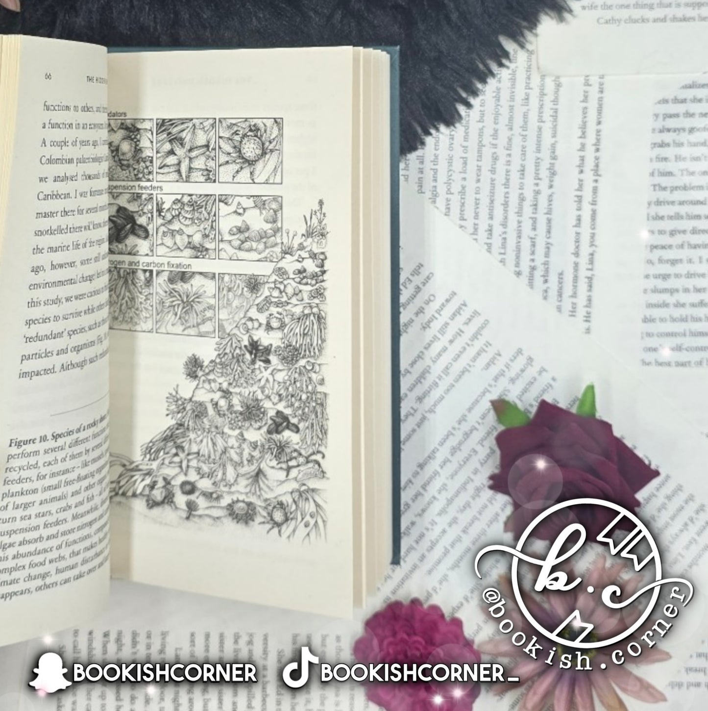 The Hidden Universe By Alexandre Antonelli