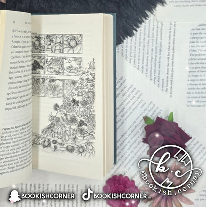 The Hidden Universe By Alexandre Antonelli