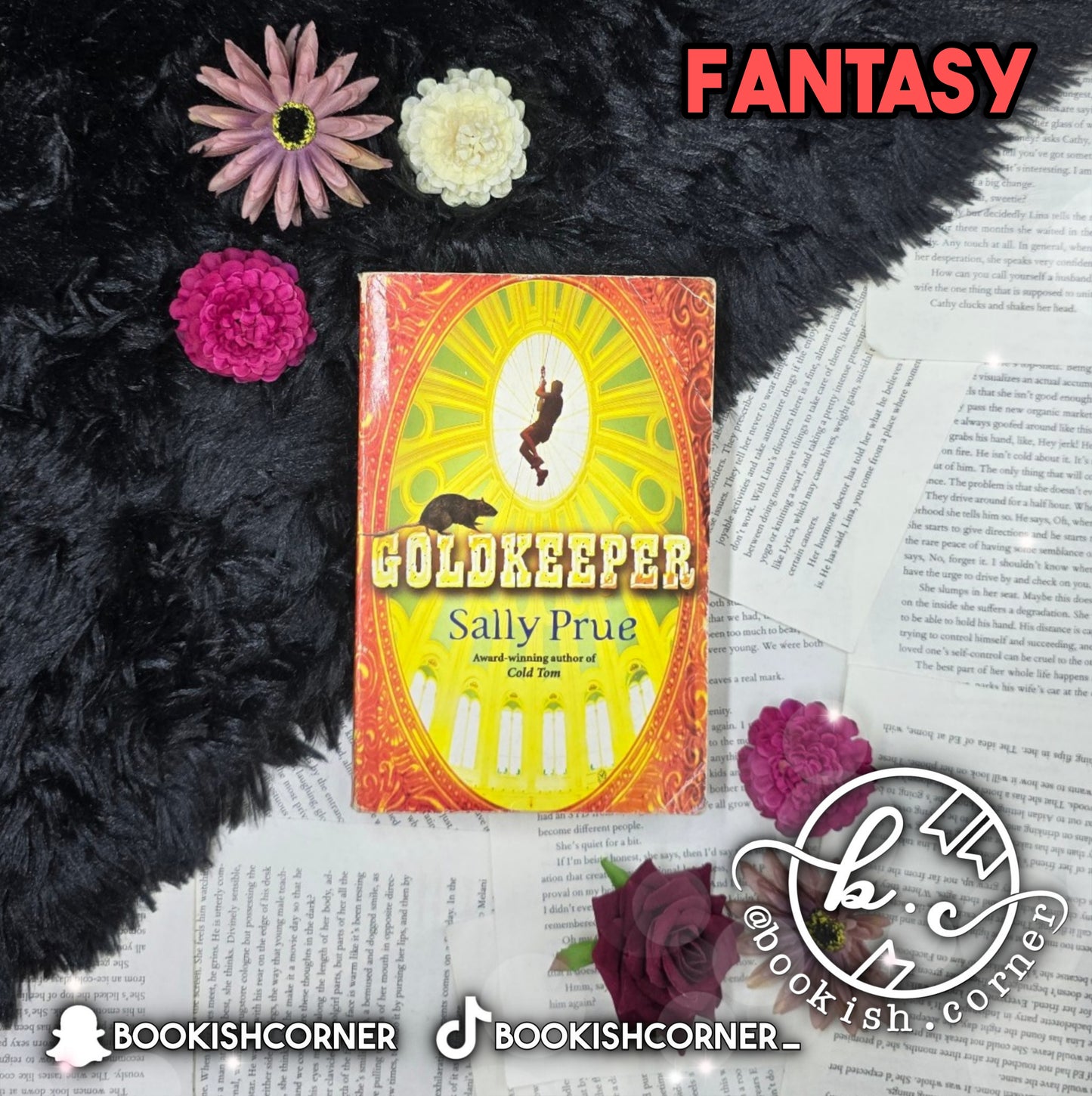 Goldkeeper By Sally Prue