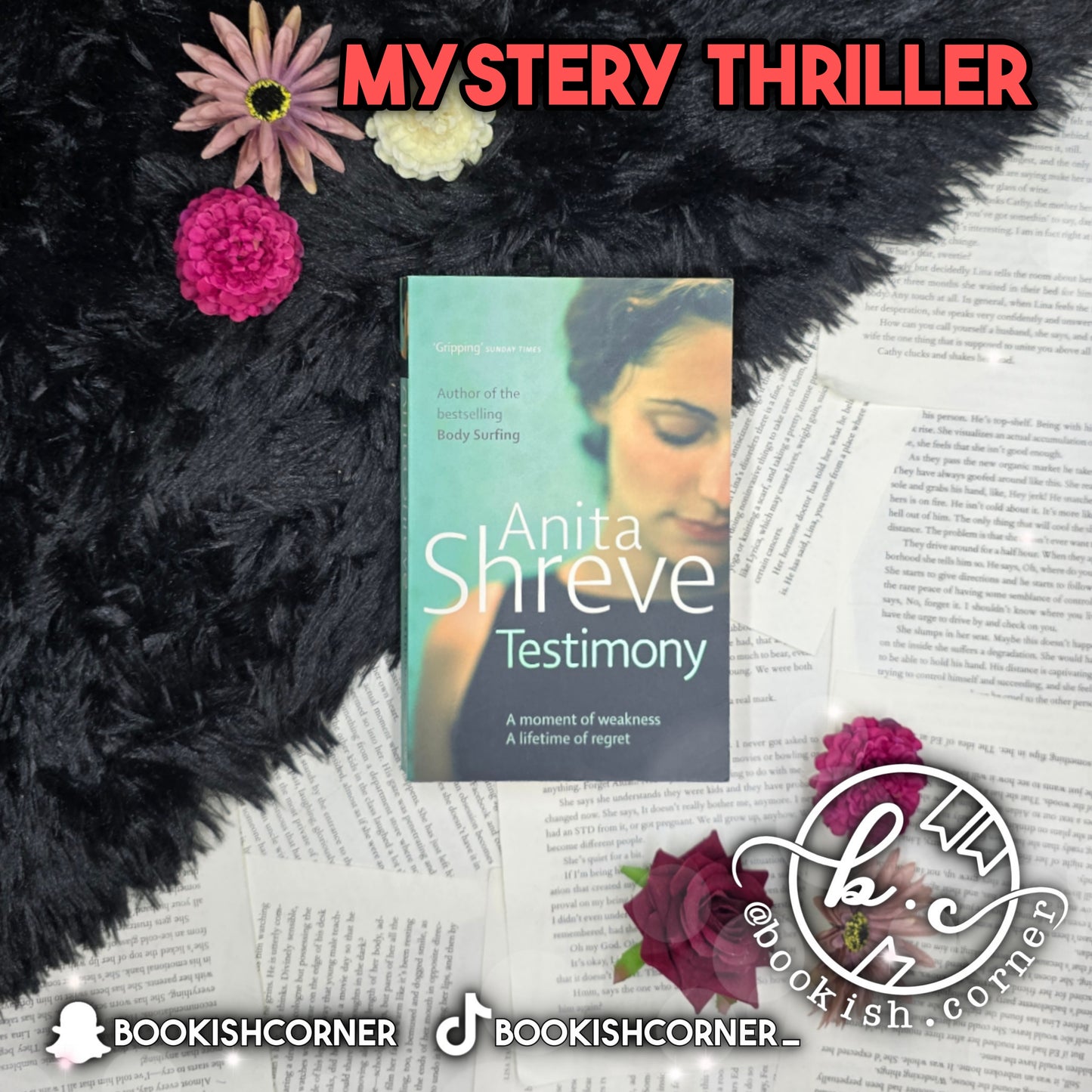 Testimony By Anita Shreve