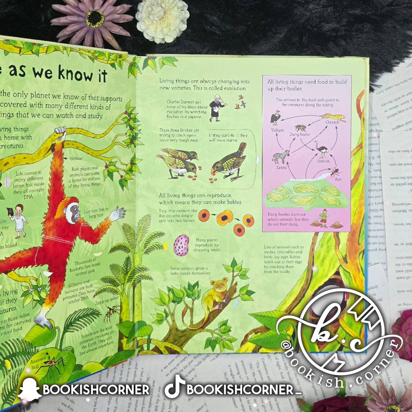 100 Things To Know About Science