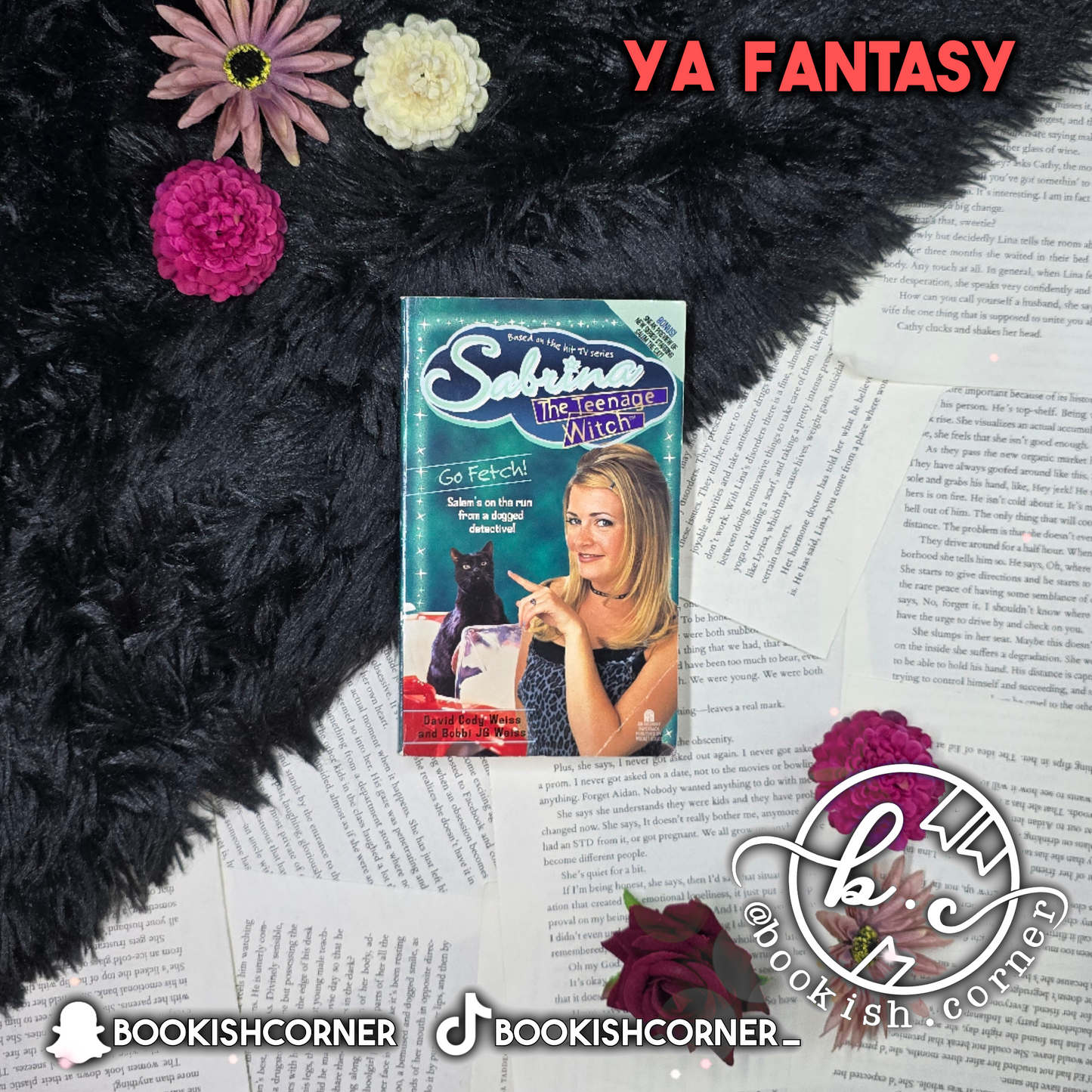 Sabrina the Teenage Witch : Go Fetch By David Cody Weiss