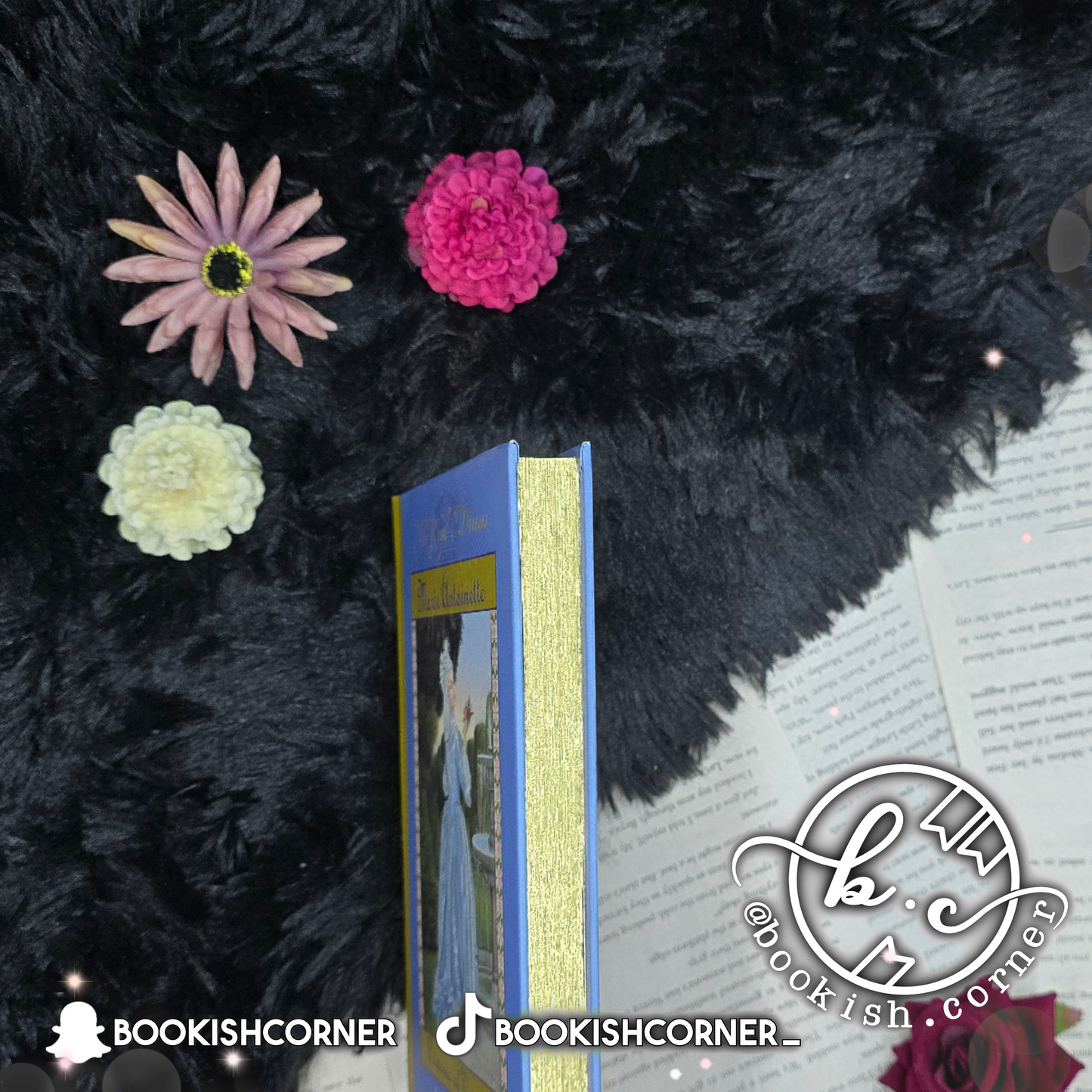 The Royal Diaries: Marie Antoinette By Kathryn Lasky