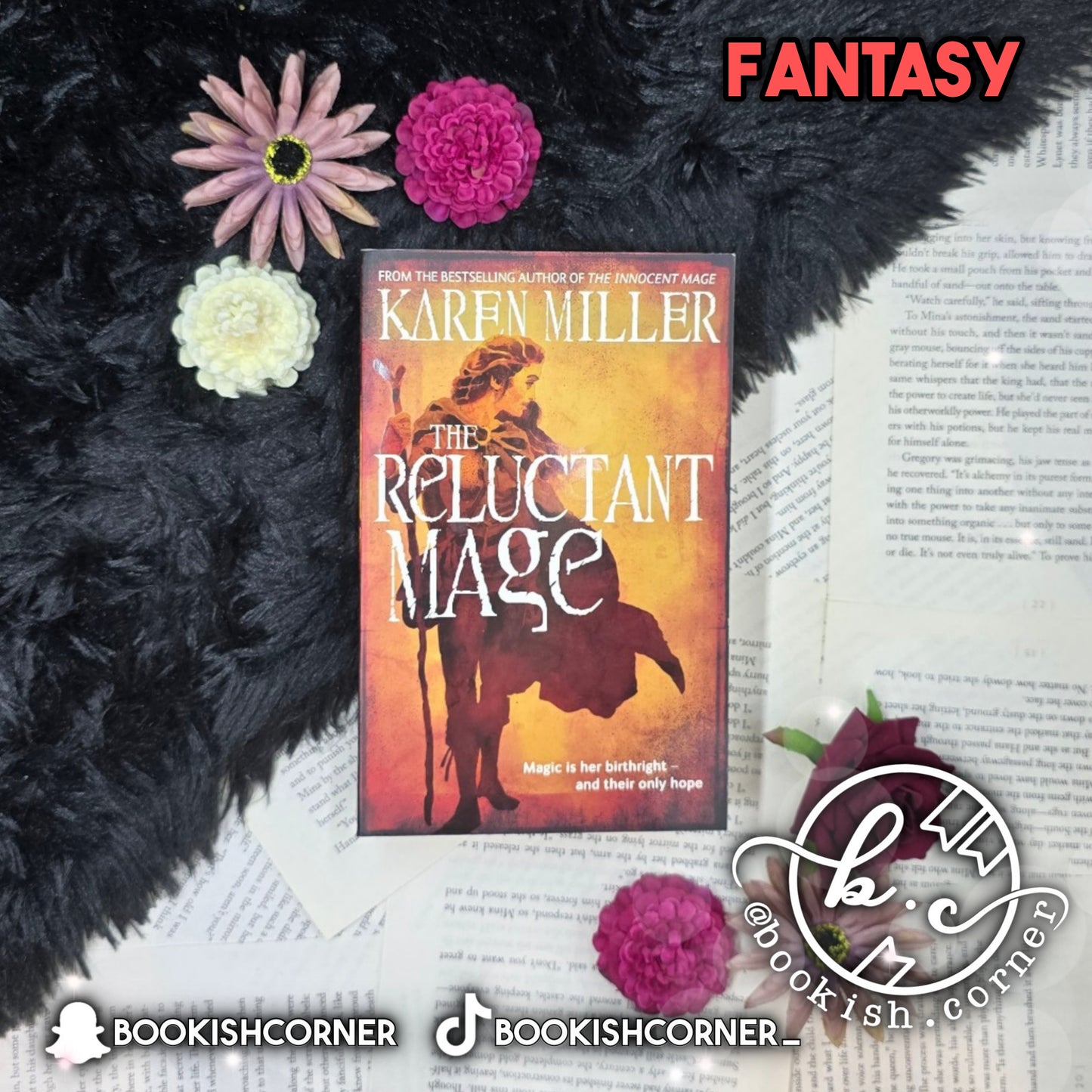 The Reluctant Mage By Karen Miller