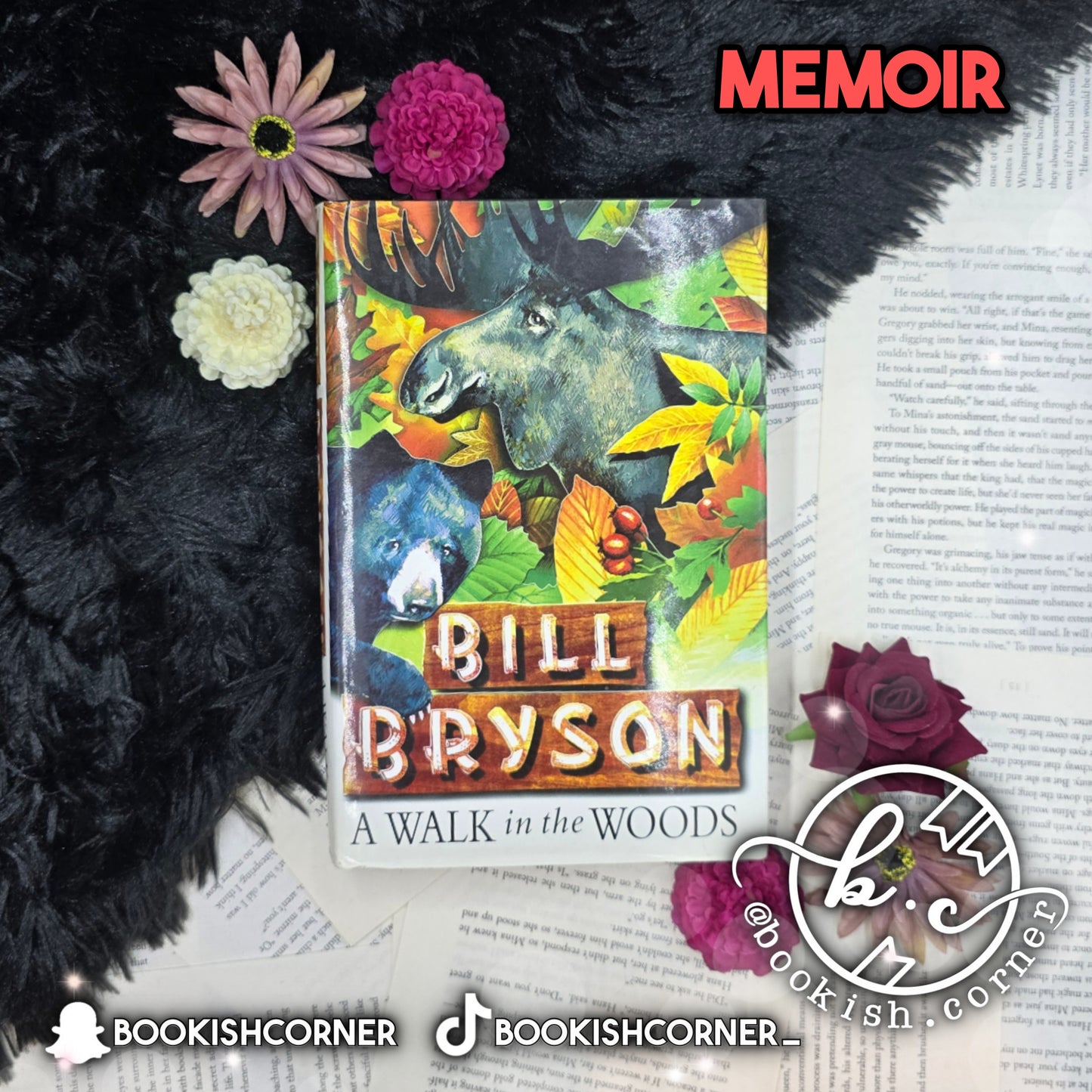 A Walk in the Woods By Bill Bryson