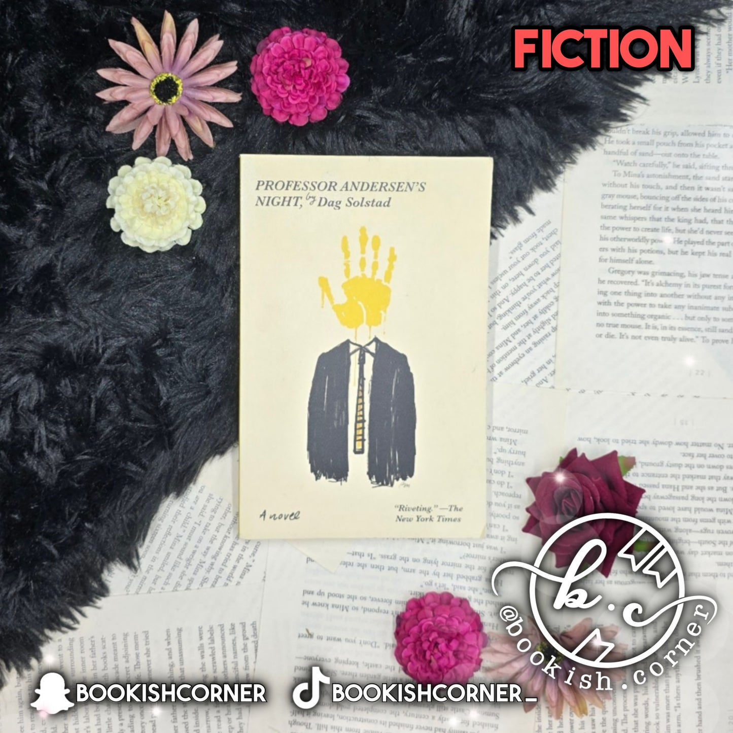 Professor Andersen's Night By Dag Solstad