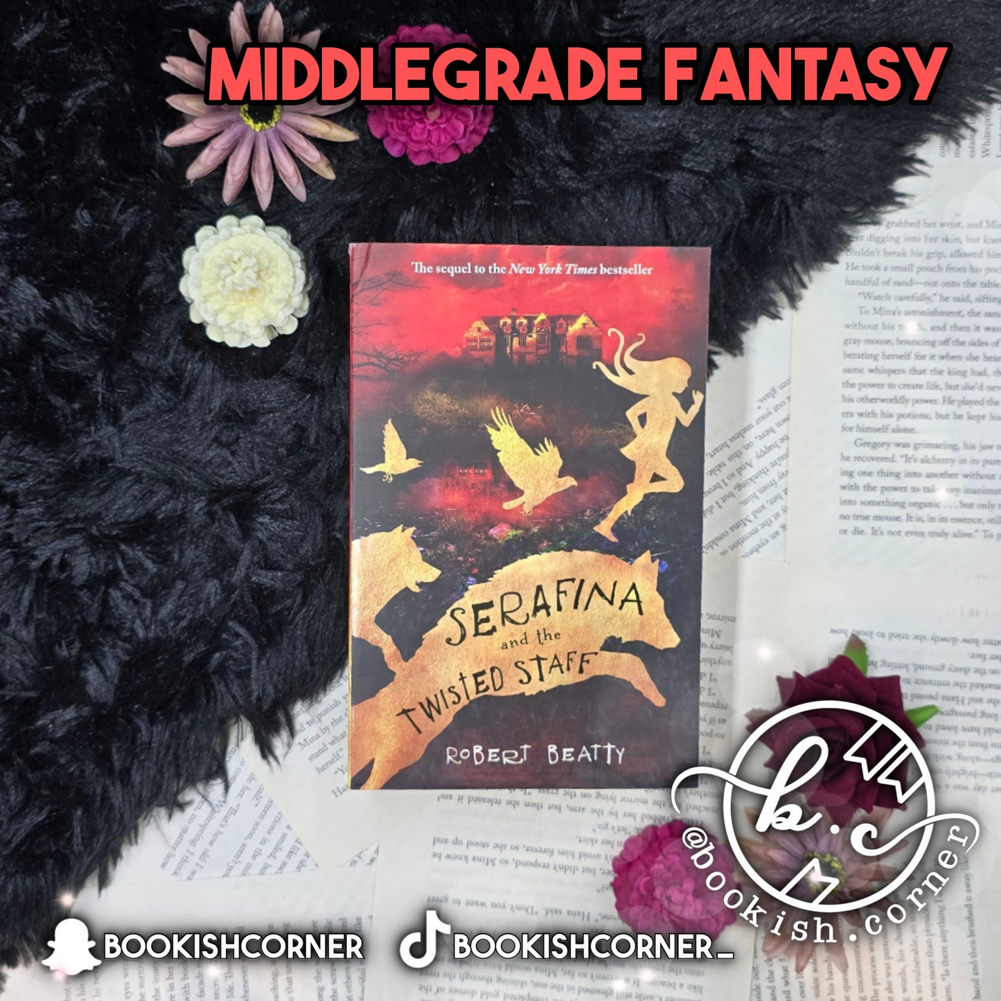 Serafina And The Twisted Staff By Robert Beatty