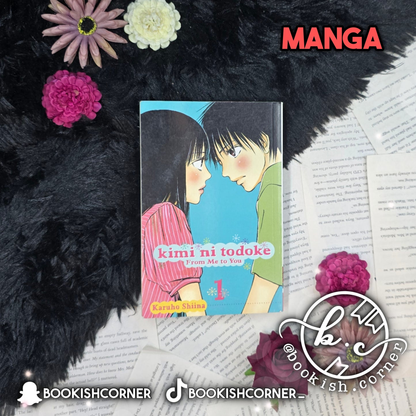 Kimi Ni Todoke: From Me to You Vol 1 By Karuho Shiina