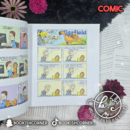Garfield Fat Cat 3 Pack vol 19 by Jim Davis