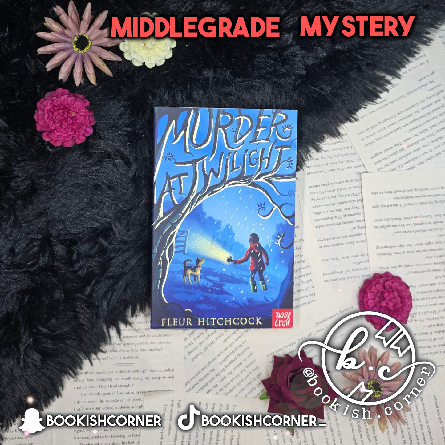 Murder at Twilight By Fleur Hitchcock
