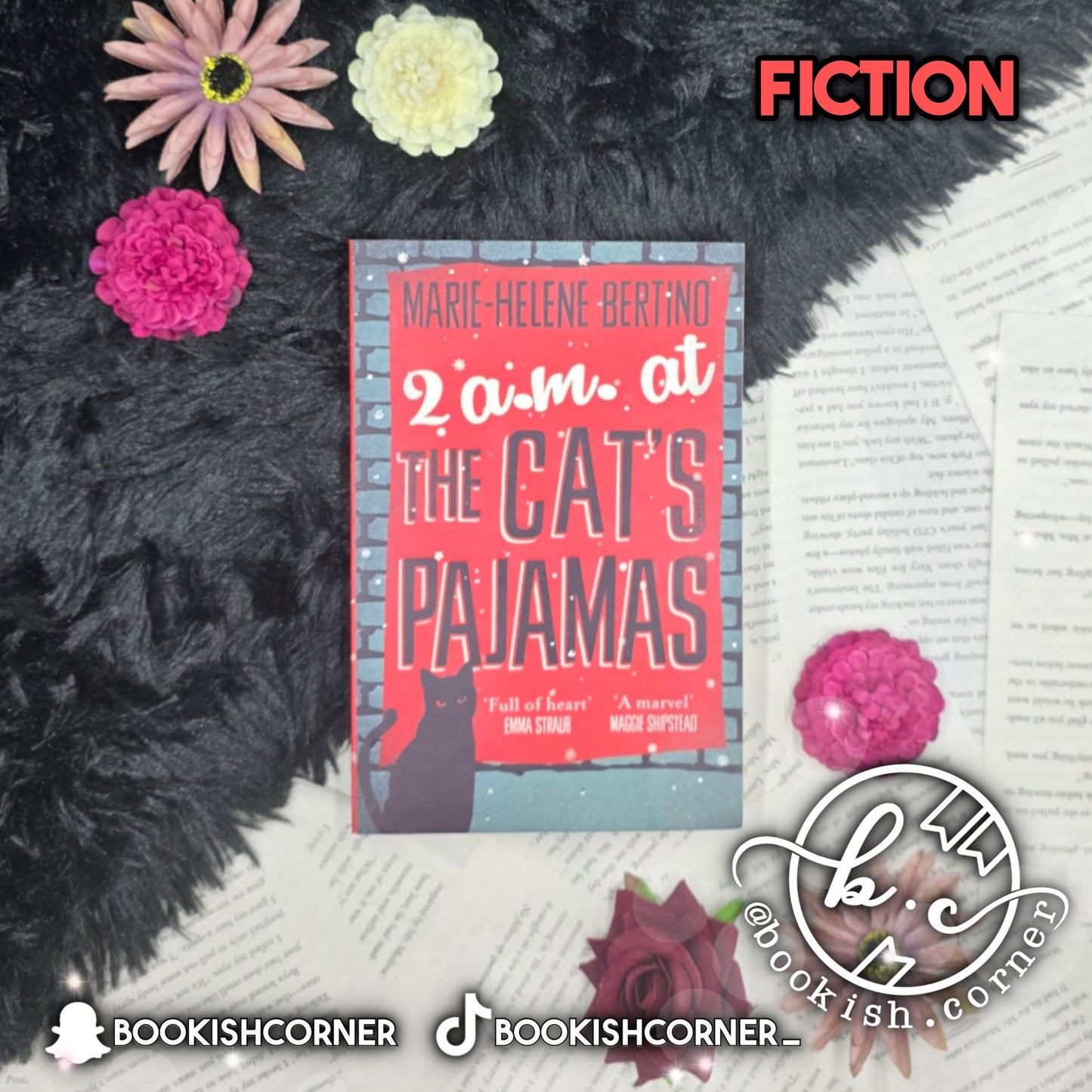 2 AM at The Cat's Pajamas By Marie-Helene Bertino