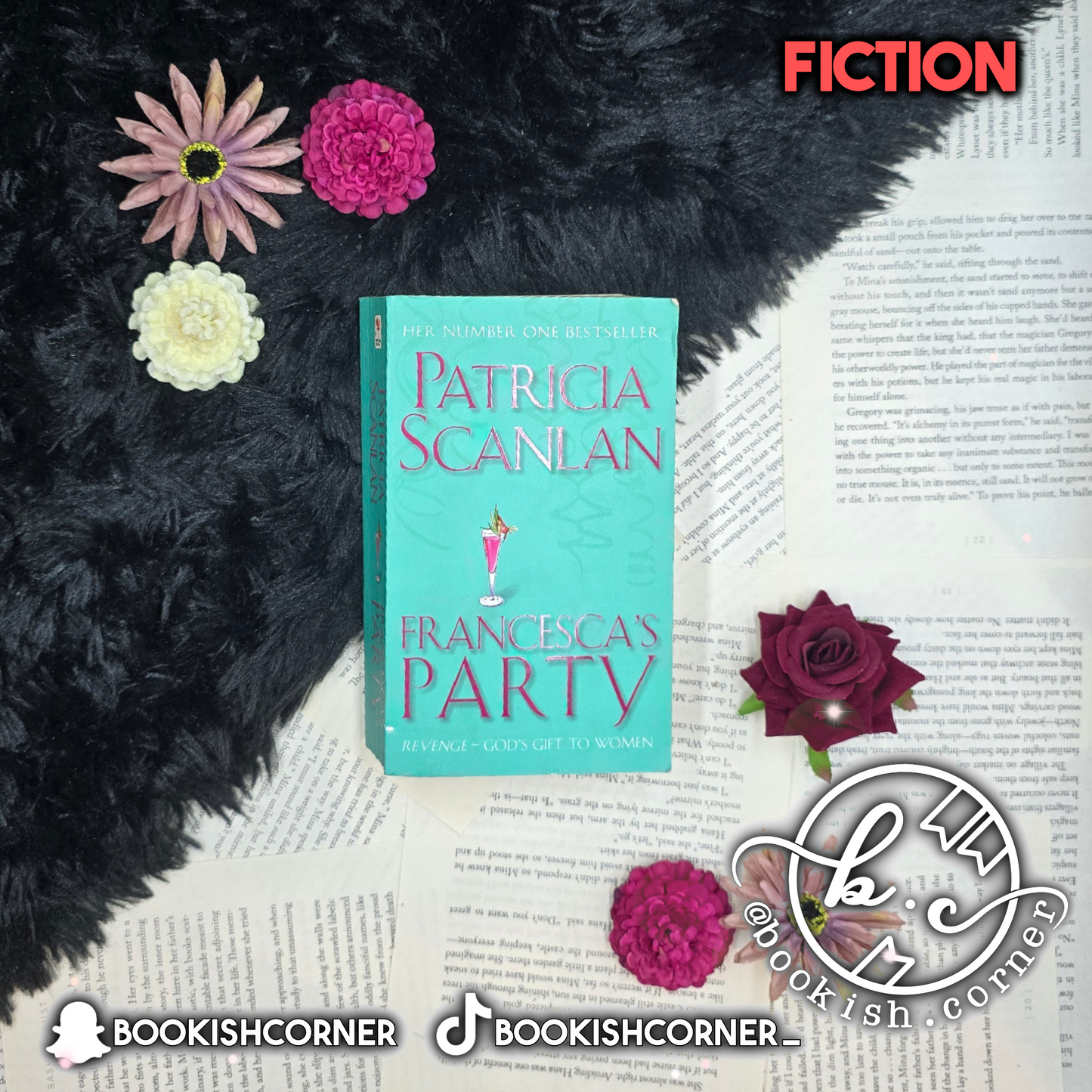 Francesca's Party By Patricia Scanlan