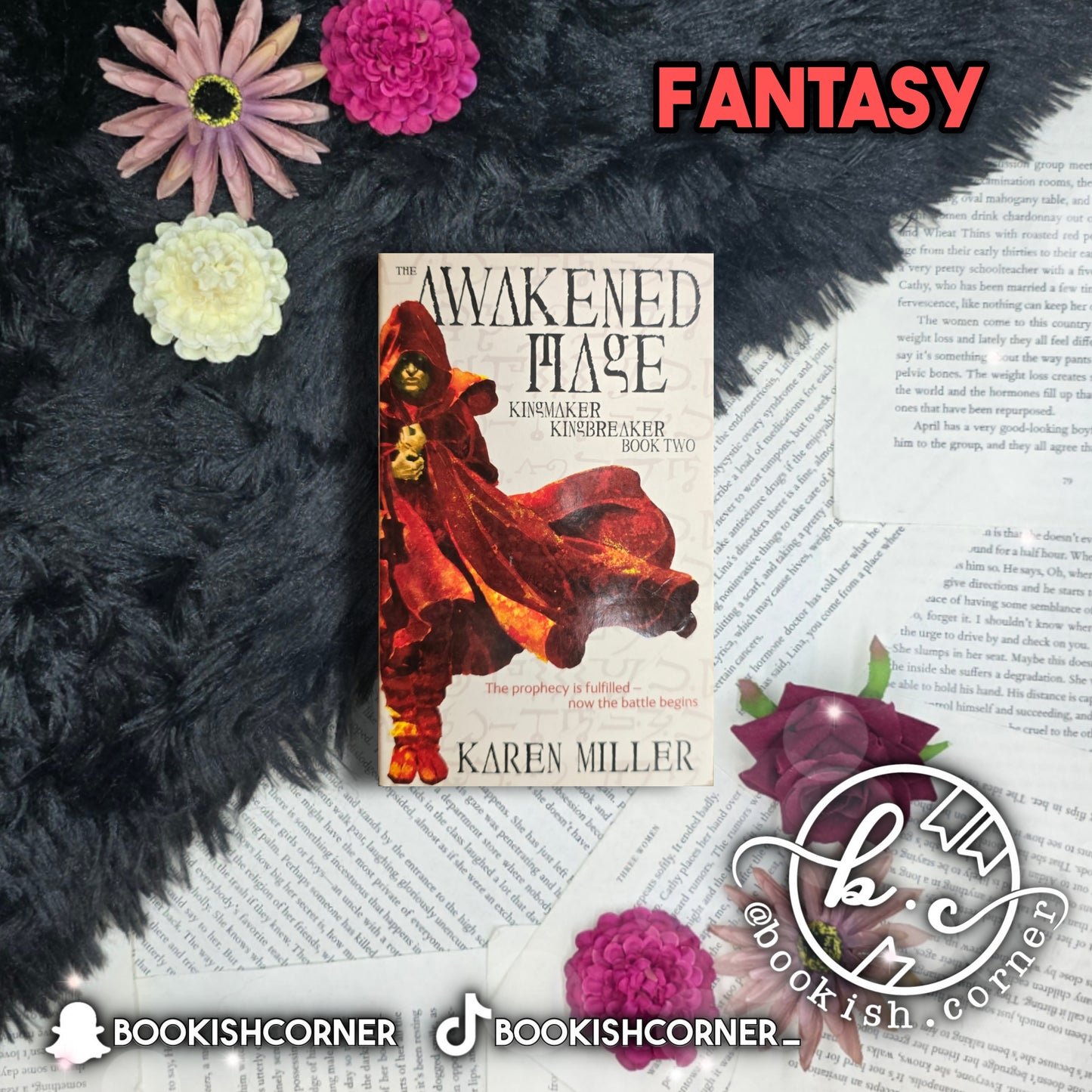 The Awakened Mage By Karen Miller