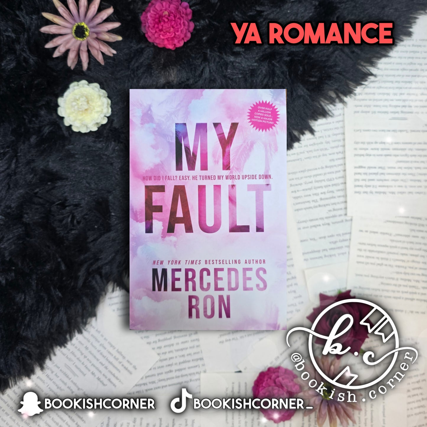 My Fault By Mercedes Ron