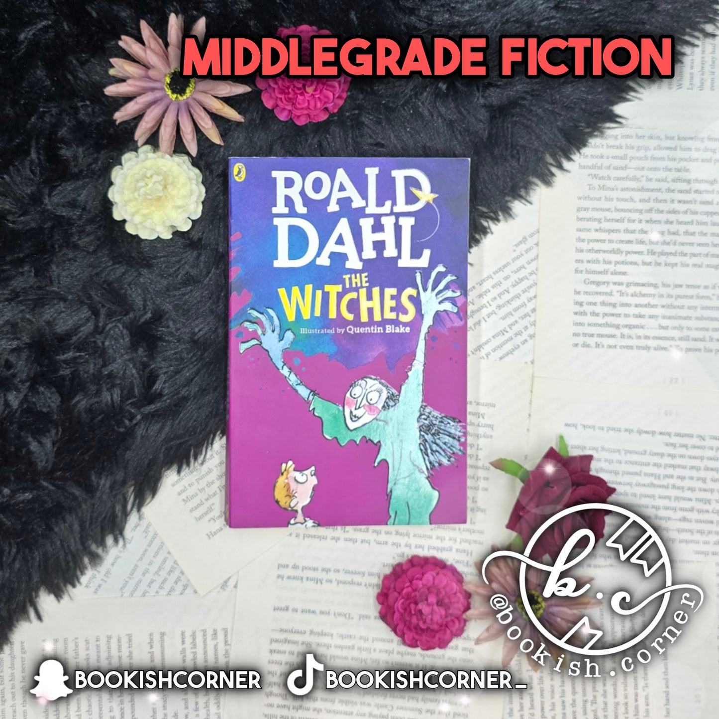 The Witches By Roald Dahl