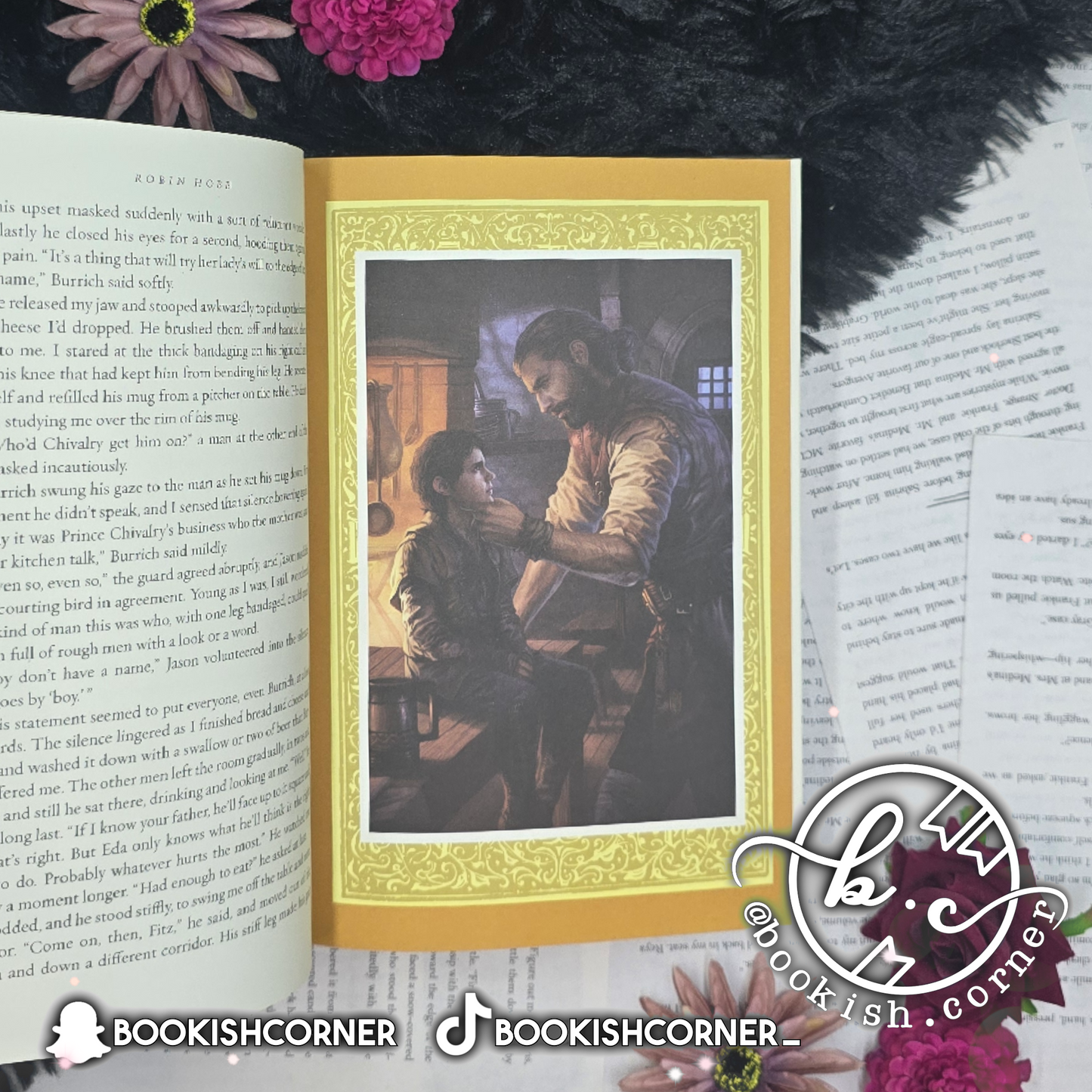 Assassin's Apprentice By Robin Hobb