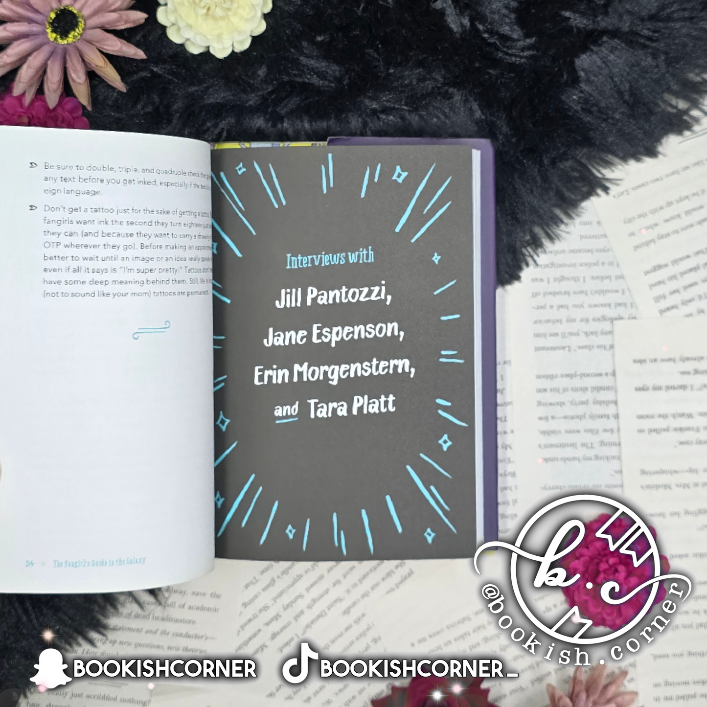 The Fangirl's Guide to the Galaxy By Sam Maggs