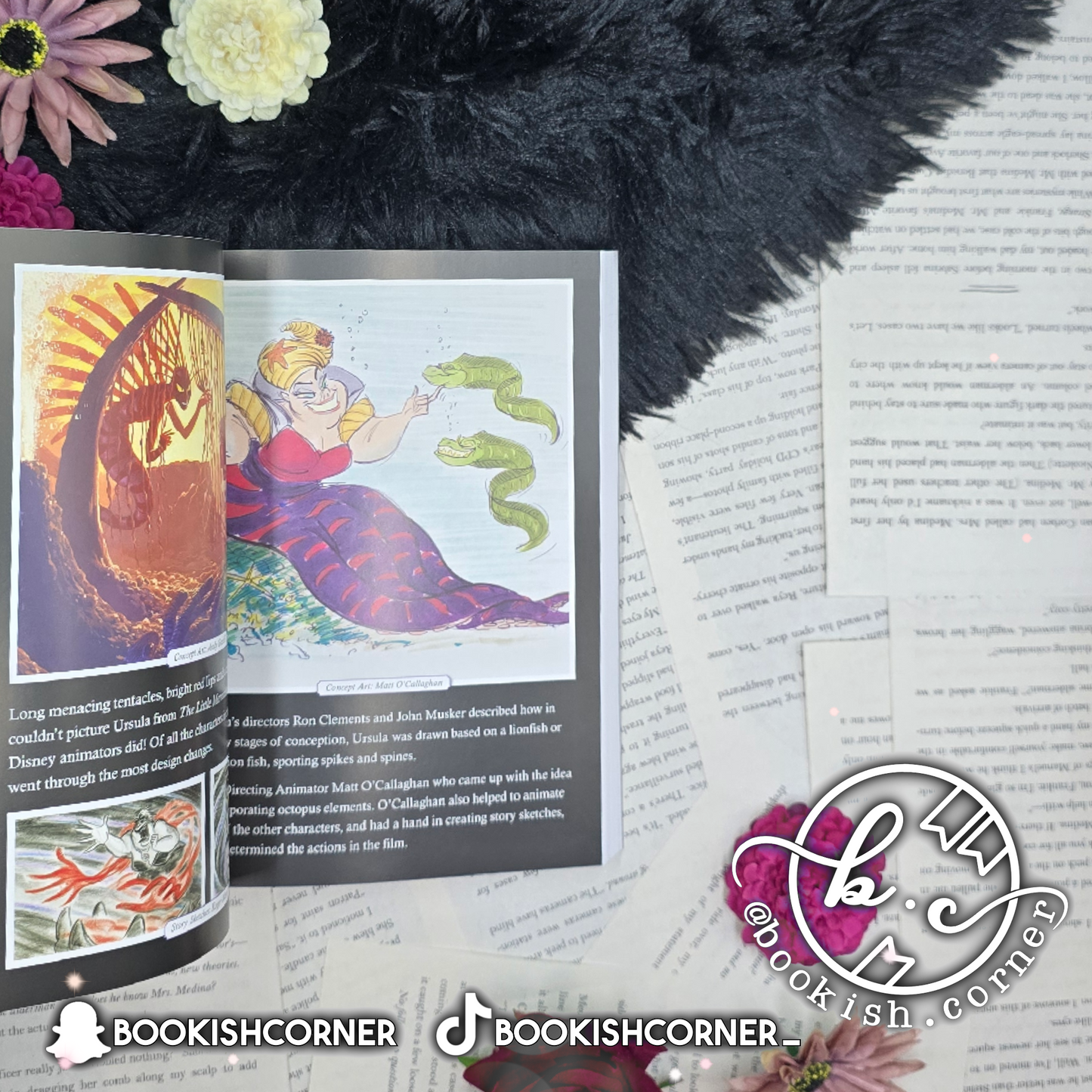 Part of Your World By Liz Braswell