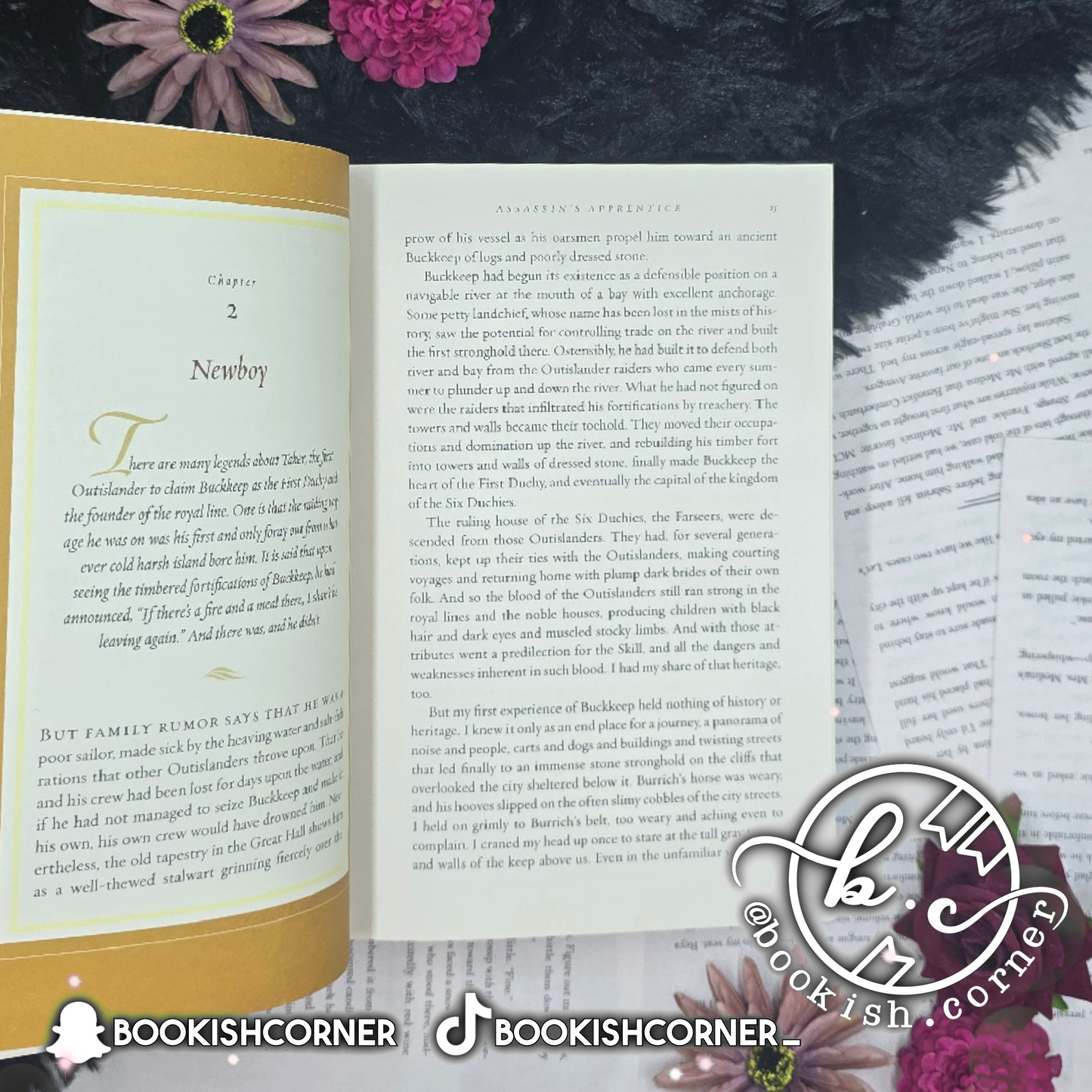 Assassin's Apprentice By Robin Hobb