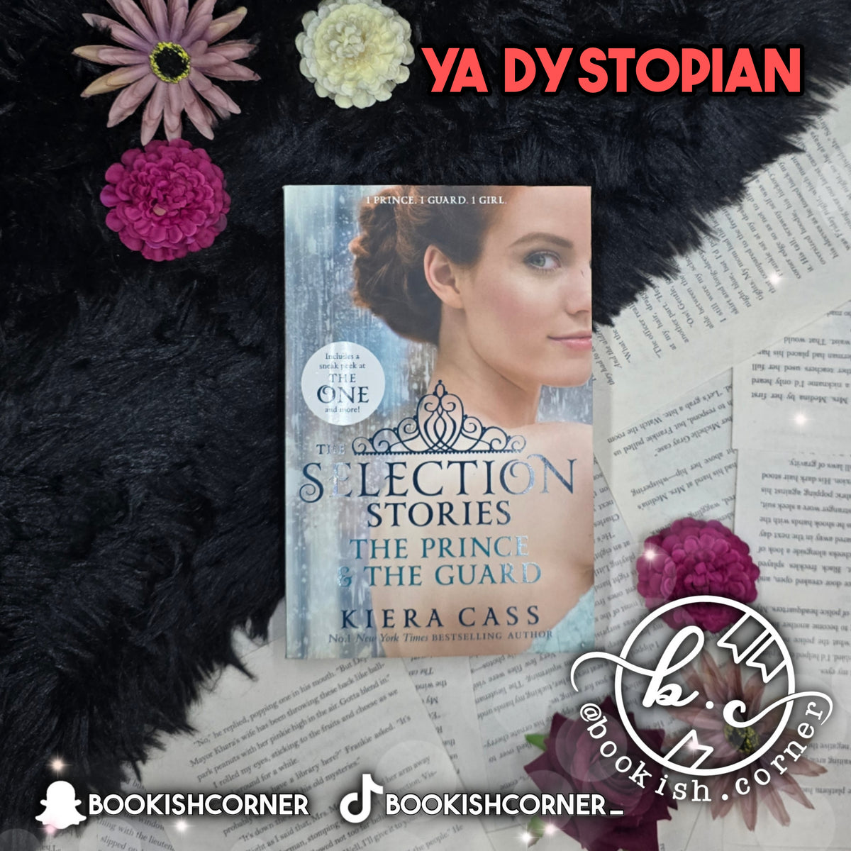 The Selection Stories: The Prince & the Guard By Kiera Cass