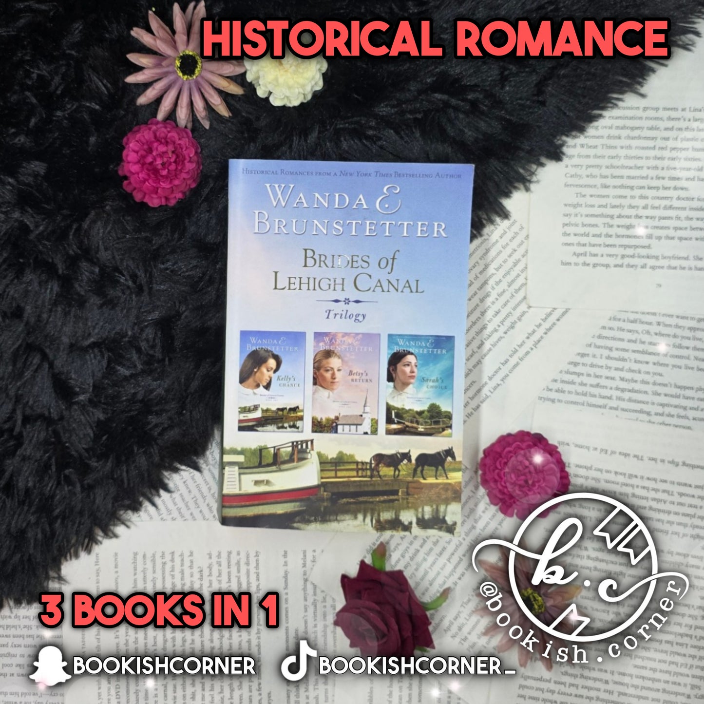 Brides Of Lehigh Canal Trilogy By Wanda Brunstetter